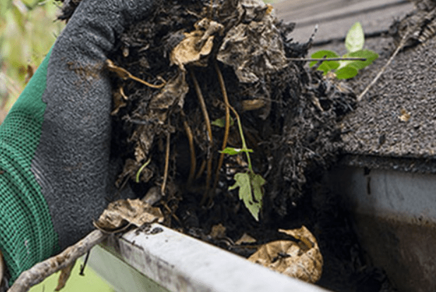 Cleaning Gutters