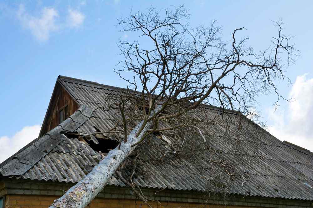 storm damage insurance in Bethesda