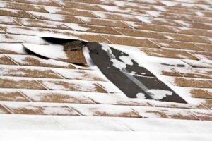 Winter Roof Damage Expert