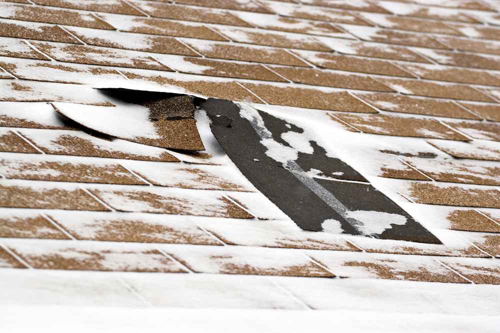 Winter Roof Damage Expert